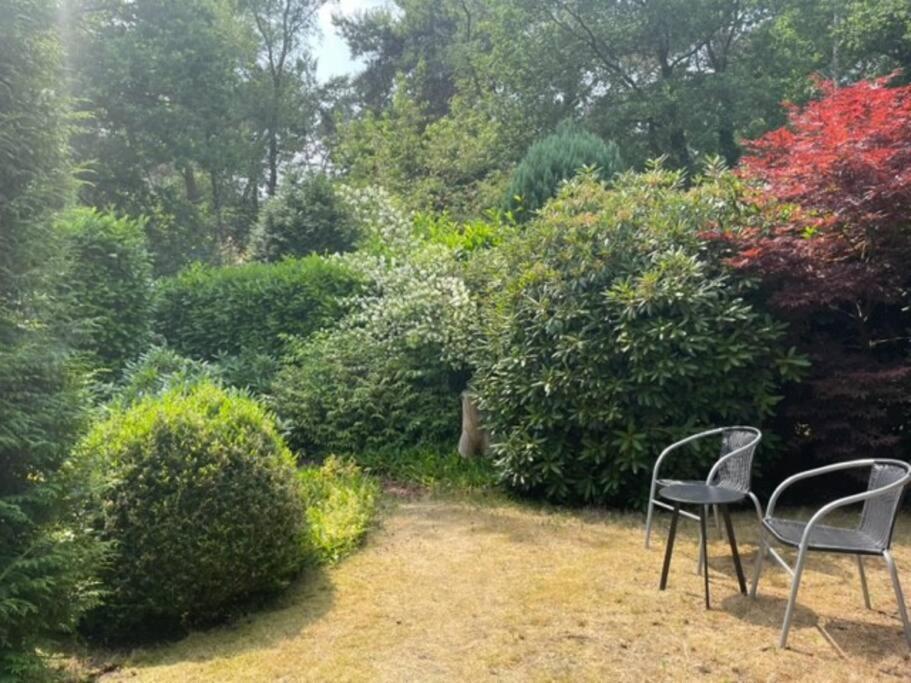 Ruime En Comfortabele Bungalow Aan Bosrand Lage Mierde Zewnętrze zdjęcie